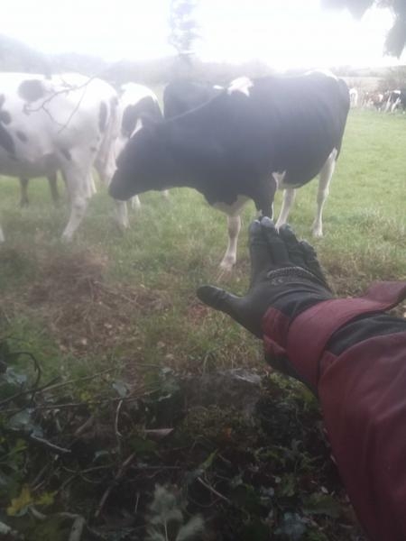 Thumbnail of photo from this article